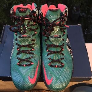 Nike Lebron Akron birch 12